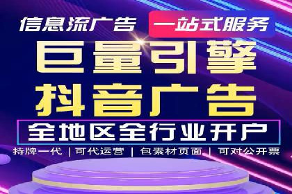 谷歌竞价广告与SEO结合的营销案例解析